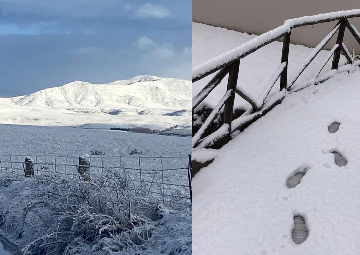 LOOK: PICTURES of snowy SA turned into a winter wonderland