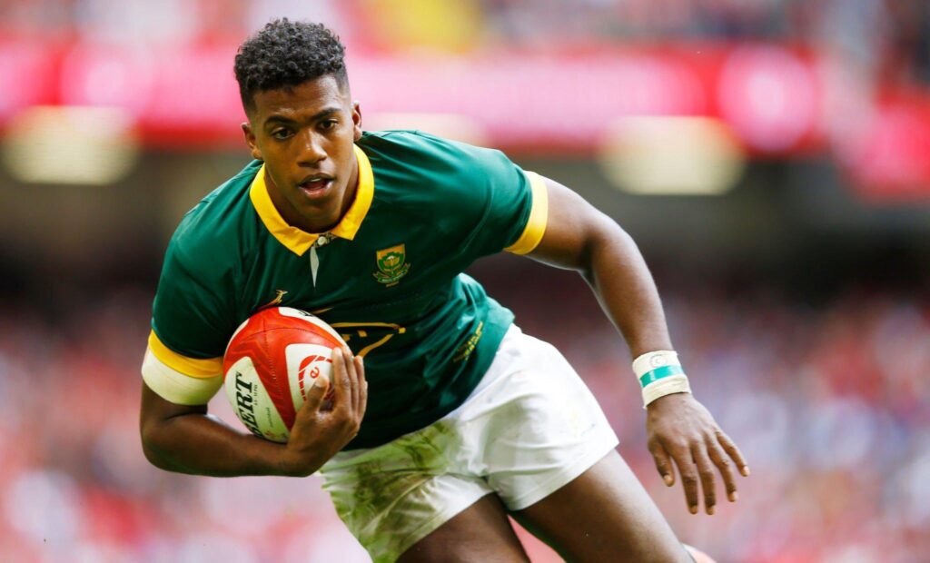Springboks Canan Moodie Rugby World Cup