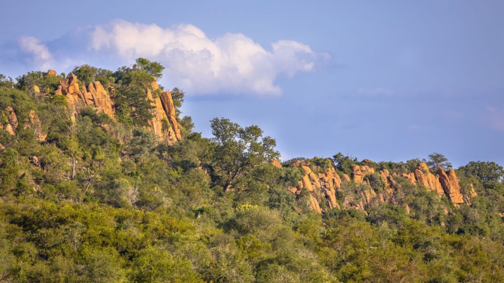Kruger Nasionale Park om hierdie feestyd kontantvry te gaan