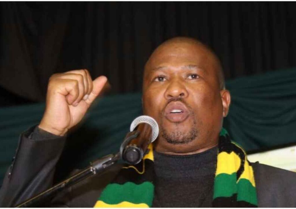 Algemene Verkiesings: Oscar Mabuyane, provinsiale voorsitter van die ANC in die Oos-Kaap