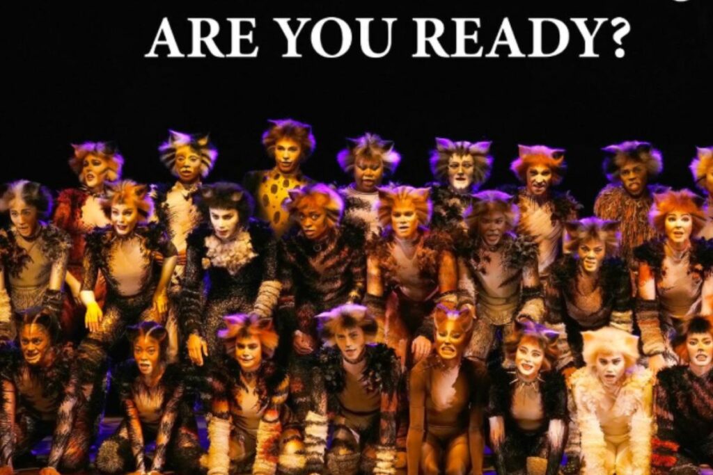 Cats die musiek toneel